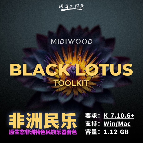 非洲传统特色民族乐器音色
