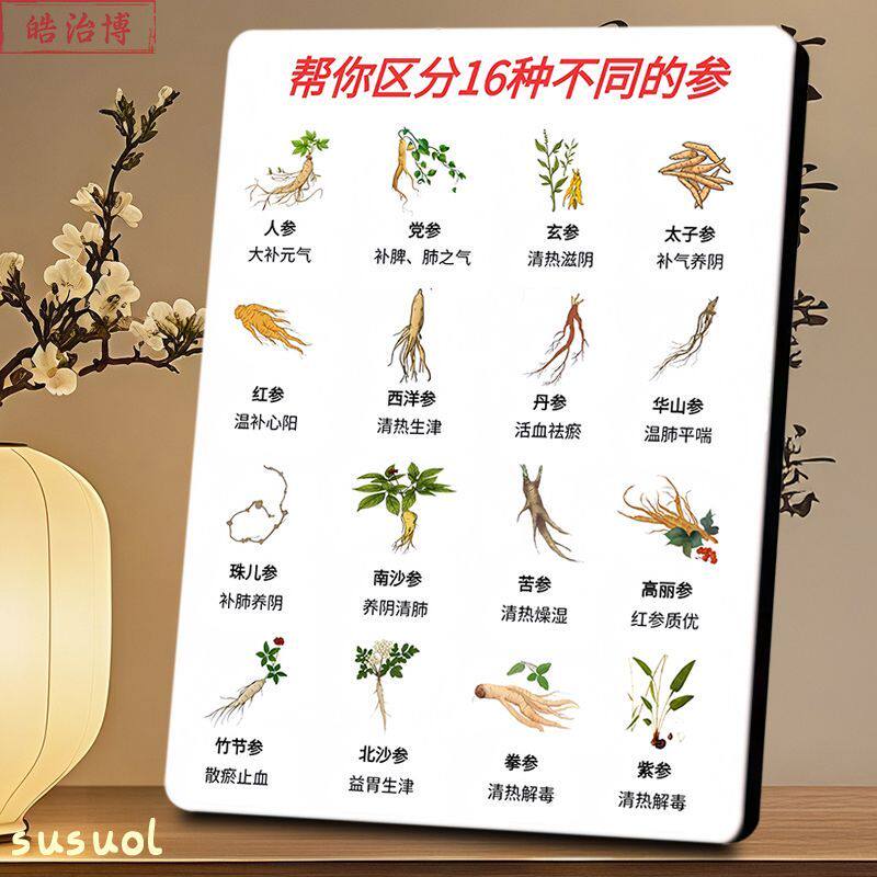 16种参类区分解析相框中药知识养生科普摆台中药爱好者中医馆装饰