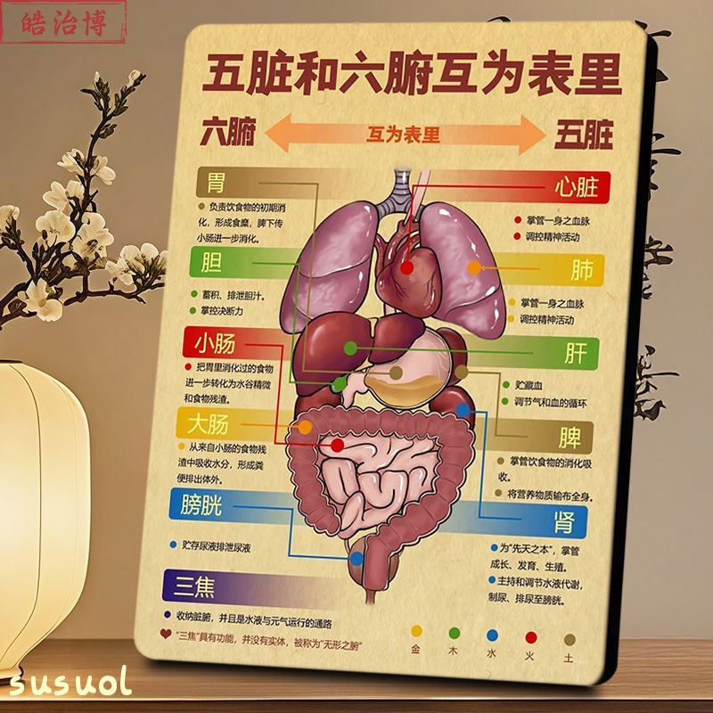 五脏和六腑互为表里画框摆