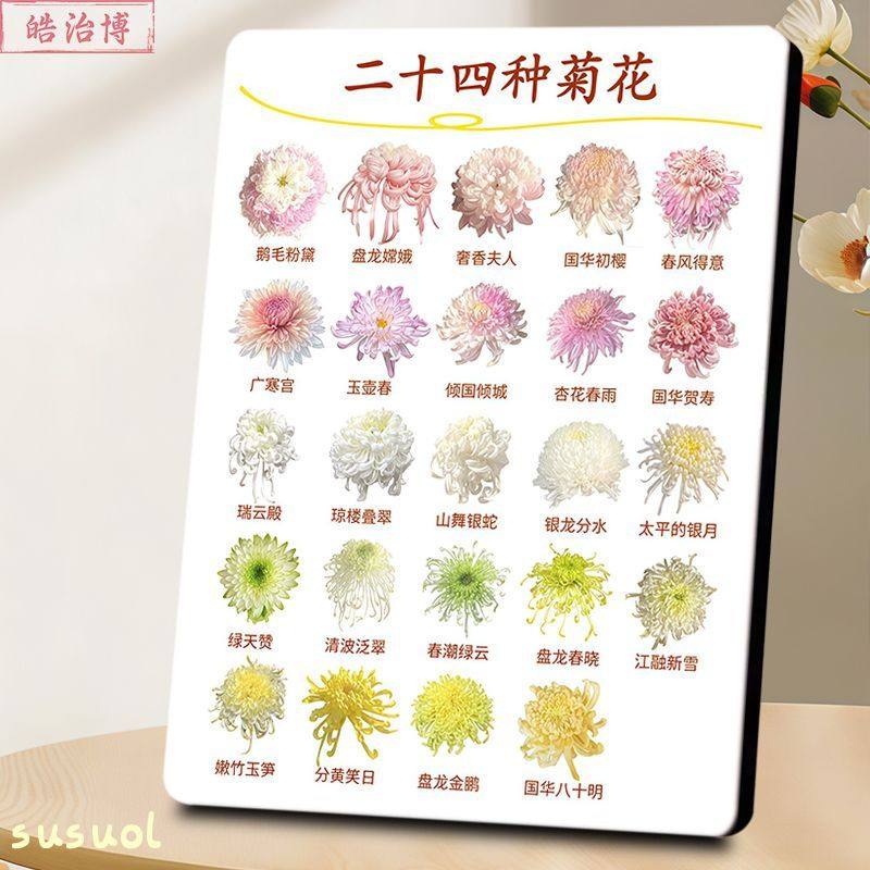 菊花品种合集图鉴相框高颜值办公室书房茶室家居花艺美学现代摆件,家居饰品,桌面摆台画,淘宝优惠券,粉丝福利购,淘宝优惠卷