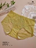 发货 B8028 高腰奢华性感女内裤 柏诗缇亚2024新款 无痕一片式