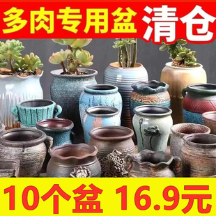 适合养文竹的花盆种百合虎皮兰三角梅种竹子铜钱草君子兰长寿花