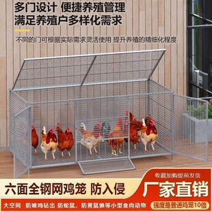 鸡笼子家用室外大号防黄鼠狼防雨小鸡养殖笼自动清粪方管农村密网