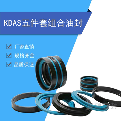kdas孔用五件套tpm100-140油封