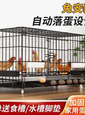 鸡笼子家用自动出蛋！推荐买它！
