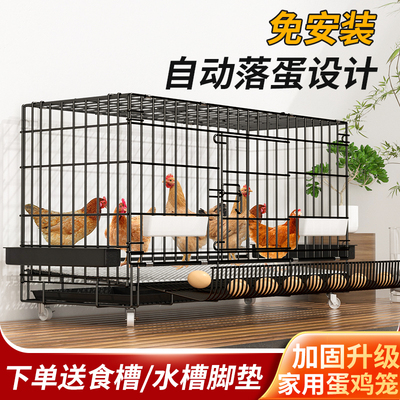 鸡笼子家用自动出蛋！推荐买它！
