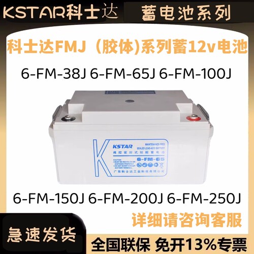 科士达ups不间断电源蓄电池