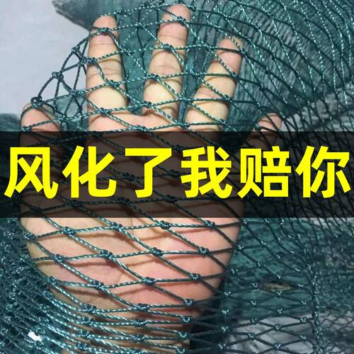 养鸡网养殖围网鸡网拦鸡网尼龙安全网隔离网菜园围栏防护网
