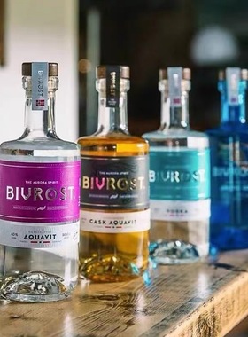 北极光金酒木桶阿夸维特酒BIVROST ARCTIC GIN挪威500ml杜松子酒