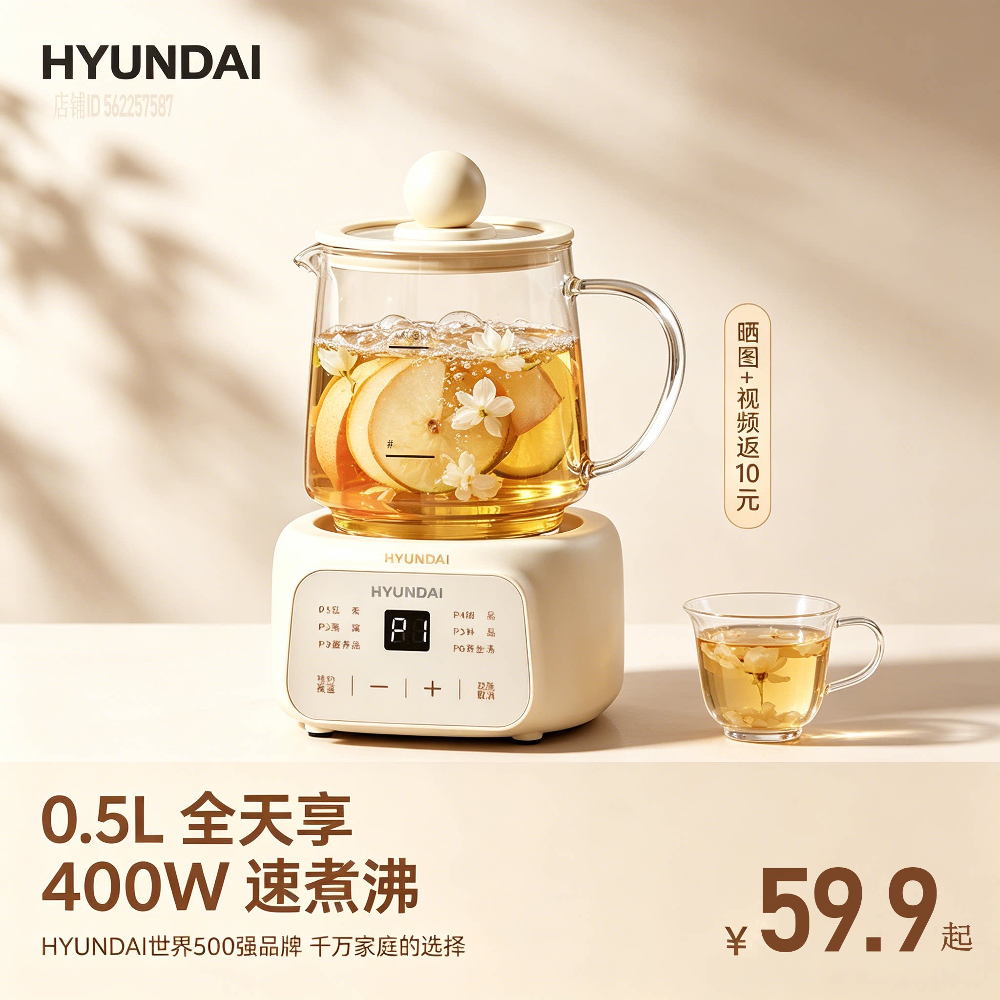 韩国养生壶办公小型全自动加厚玻璃保温分体家用多功能煮茶烧水杯
