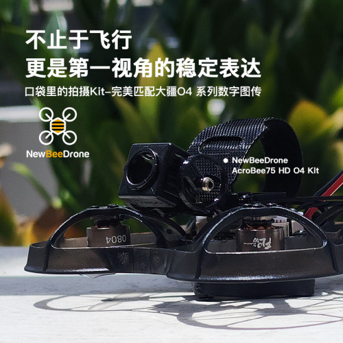 AcroBee75HDO4反推BNF动力套装