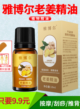 雅博尔老姜精油生姜按摩刮痧开背拔罐推拿足浴店美容院滋润保湿油