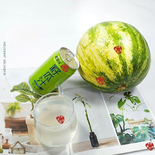 美果林杏皮茶甘肃特产兰州果味饮料籽瓜汁饮料火锅搭档夏天饮品