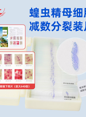 厂家直销红树林生物显微镜玻片