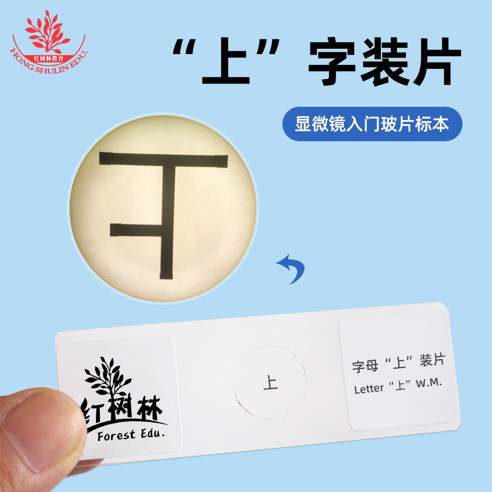上字玻片显微镜入门初中生物同步教学观察生物教学用显微玻片清晰