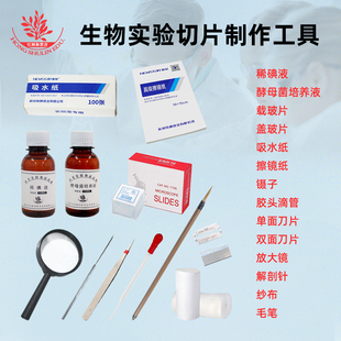 实验切片制作工具盖玻片载玻片吸水纸刀片镊子滴管纱布等初中生物