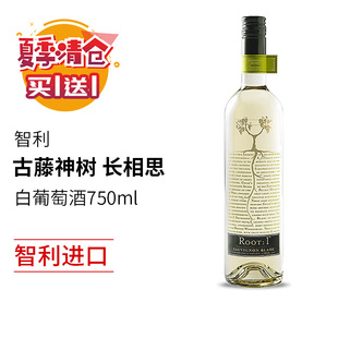 智利原瓶进口红酒古藤神树长相思干白葡萄酒 买1送1 晚安小酒