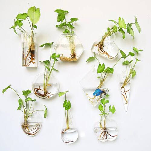 Fashion Wall Hanging Glass Flower Vase Terrarium Wall Fish T