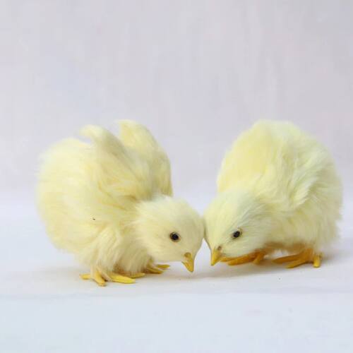 Realistic Chick Decoration Animal Doll Simulation Chick for