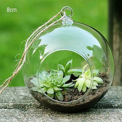 Hanging Glass Ball Vase Succulent Plant Terrarium Container