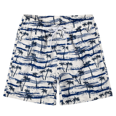 2024ins Style Swimming Trunks Men's Anti-embarrassing Loose