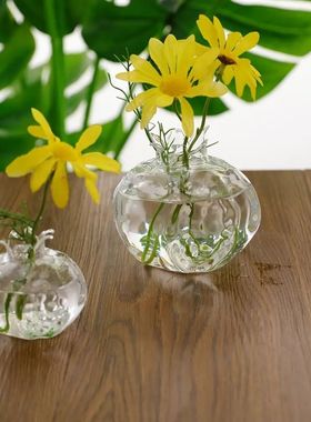 Transparent Pomegranate Glass Vase Creative Glass Red Hydrop