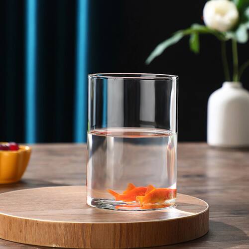 Hydroponic Glass Flower Vase Transparent Minimalist Floral V