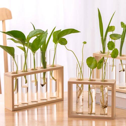 1 Set Creative Hydroponic Plants Container With Wood Frame T