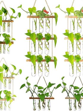 Ins Wall Hanging Glass Planter Plant Propagation Tubes with