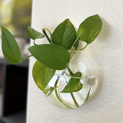 Transparent Wall Hanging Vase Semi-circular Hydroponics Vase