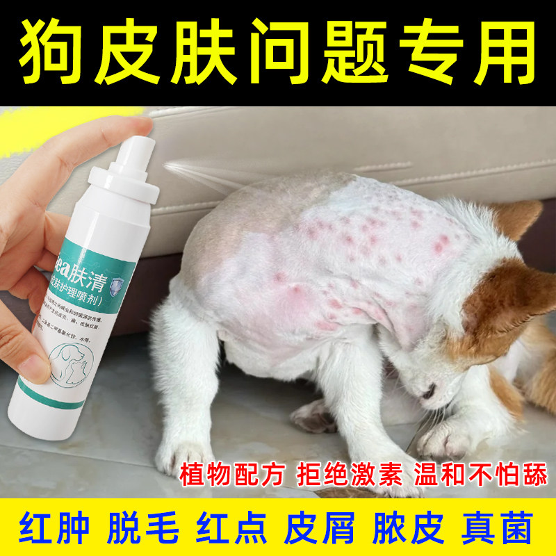 狗藓皮肤病专用狗狗皮肤真菌螨虫