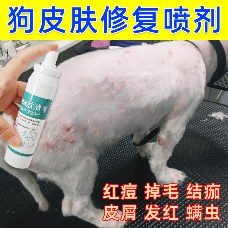 狗狗皮肤病喷剂外用红痘小狗身上长脓包疙瘩身上长藓真菌螨虫喷雾