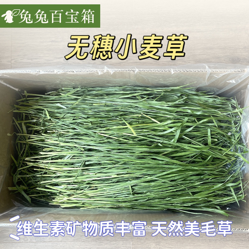 小宠辅草烘干无穗小麦草