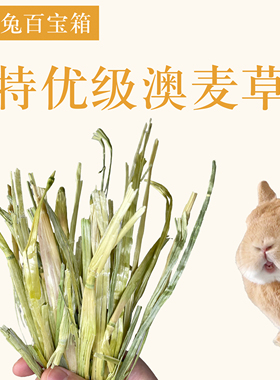 25年特优级精挑澳麦草澳洲燕麦草兔子龙猫荷兰猪主草晒干适口好