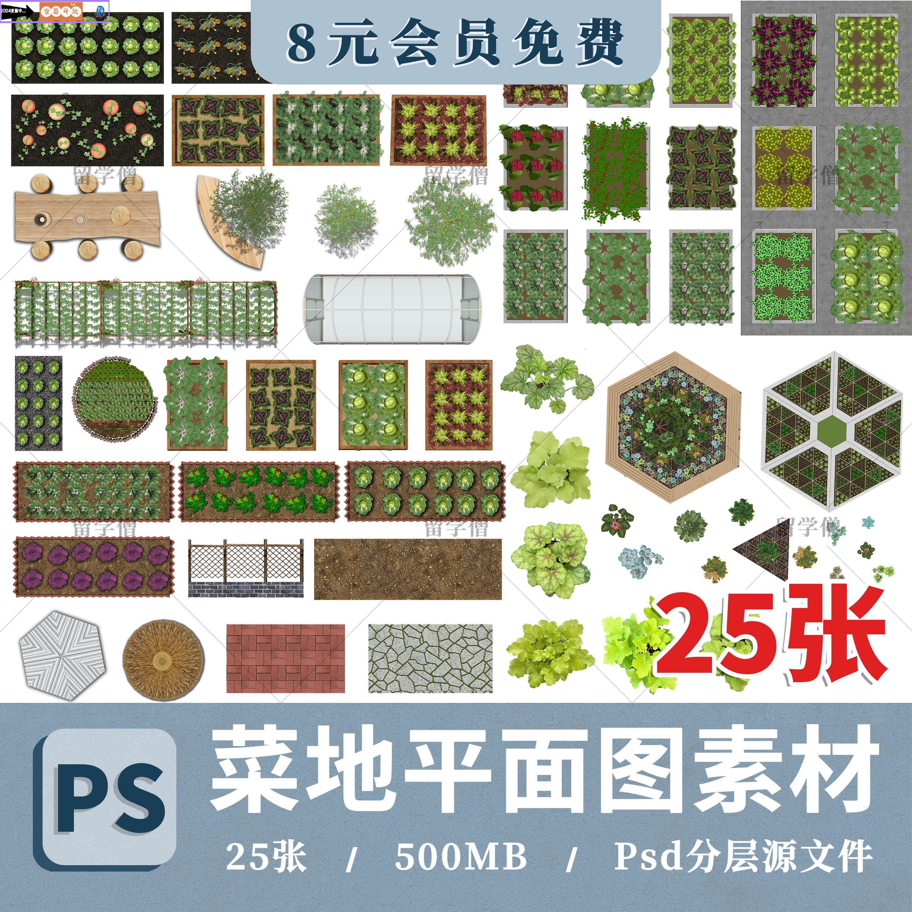 2024菜地彩平图ps素材菜地蔬菜菜园平面图菜园贴图psd分层素材