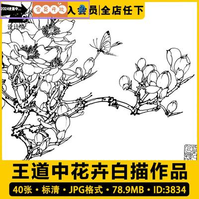 王道中花卉白描线描图集蝴蝶昆虫鲜花线稿工笔画国画高清电子图片