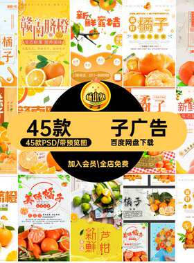 桔子模板45款PSD橘子海报水果广告宣传单促销芦柑餐饮美食4