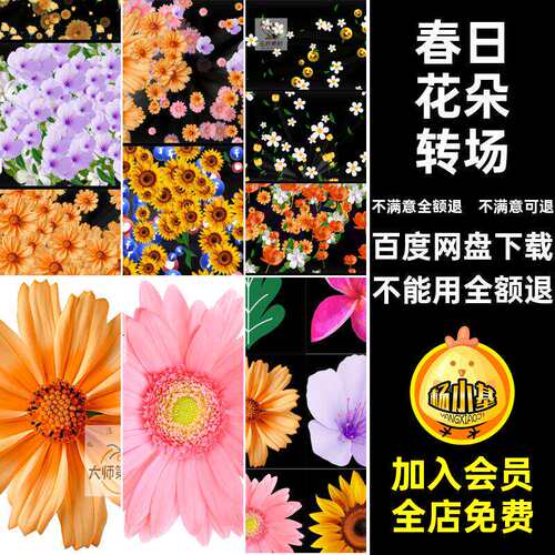 花卉花朵转场动画鲜花视频素材模板效春日AE装饰绿叶时光视频动
