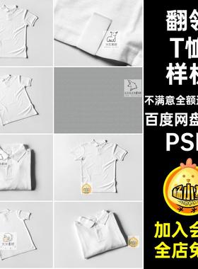 工作服T恤样机PSD衫viPOLO8款服装翻领提案psVI贴图短袖8款Tps