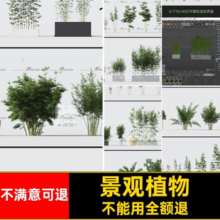 竹子模型C景观室外毛竹素材竹林绿植贴图绿竹材质带植物园林柱子