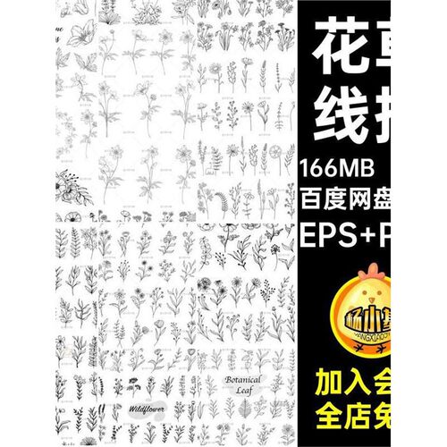 花草矢量EPS PNG植物HH97素材24套简线白描图案素描