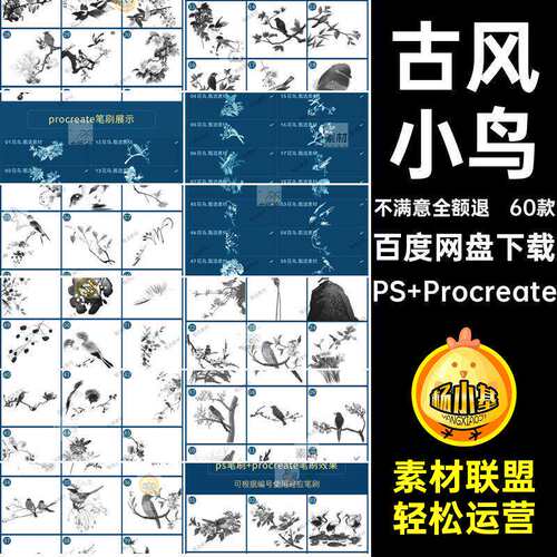 60款国画笔刷水墨装饰花鸟枝procreate图水墨枝古风绘