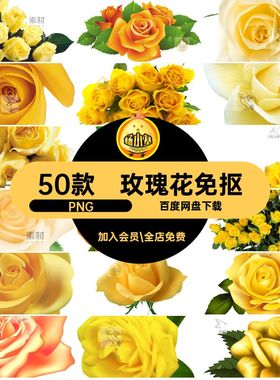 玫瑰花免抠ps期前情人节手绘剪影黄色花瓣花朵PNG图片素材50款