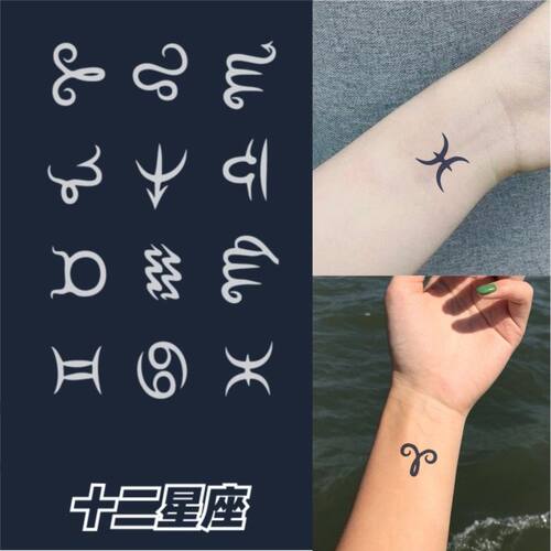 十二星座纹身贴白羊座摩羯座处女座男女草本小图案手背果汁