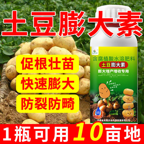 土豆专用膨大素地下根茎膨大素