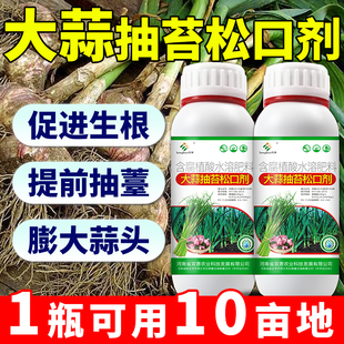 大蒜返青抽苔肥大蒜抽苔松口剂膨大素专用肥蒜苔抽薹肥生根剂专用