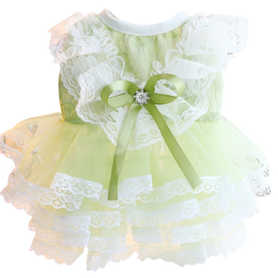 狗狗衣服春秋装薄款猫公主裙薄荷曼波婚纱蕾丝小型犬泰迪宠物5823