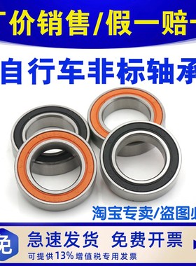 自行车山地车 花鼓中轴轴承 173010-2RS 173110-2RS 17*30*31*10