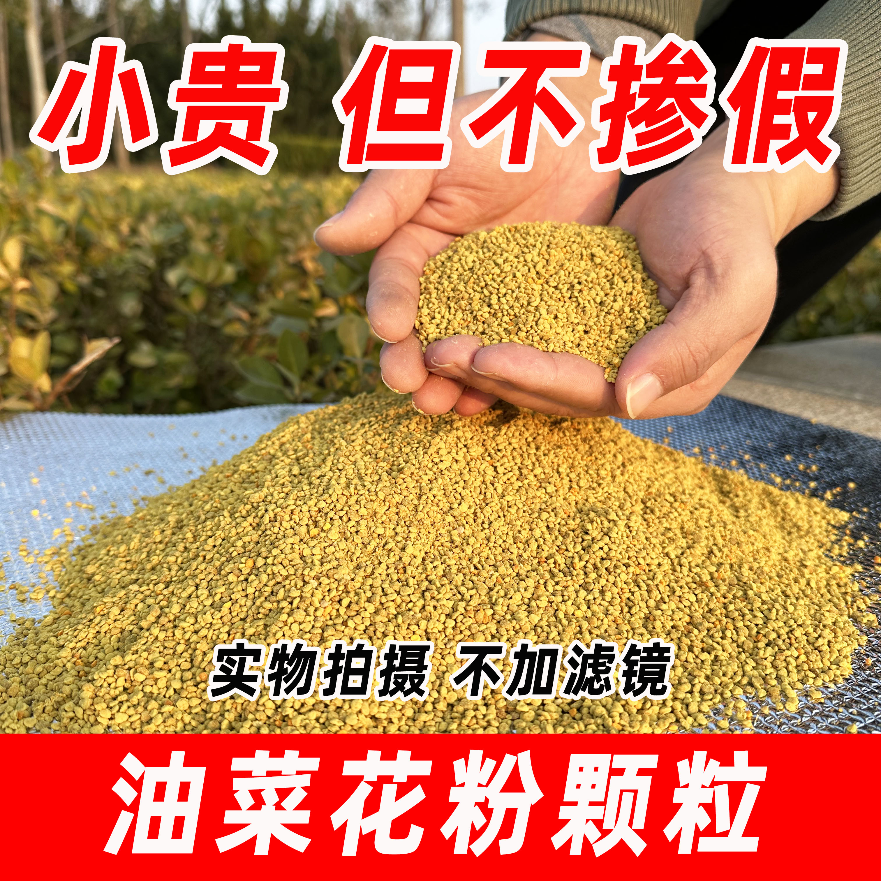 油菜杂花粉2023新粉养蜜蜂喂蜂蜂用花粉天然颗粒蜂粮喂蜂蜜蜂饲料 畜牧/养殖物资 养蜂饲料/花粉 原图主图