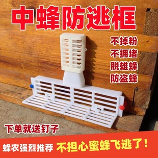 中蜂防逃框蜂箱巢门防逃栅不掉粉防意蜂盗蜂塑料蜂王隔王板防跑片